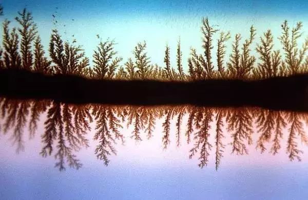 152935768580827e020f16d