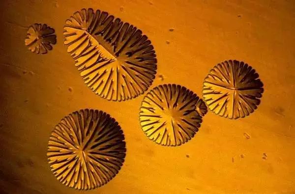 1529357686424362aa7eee3