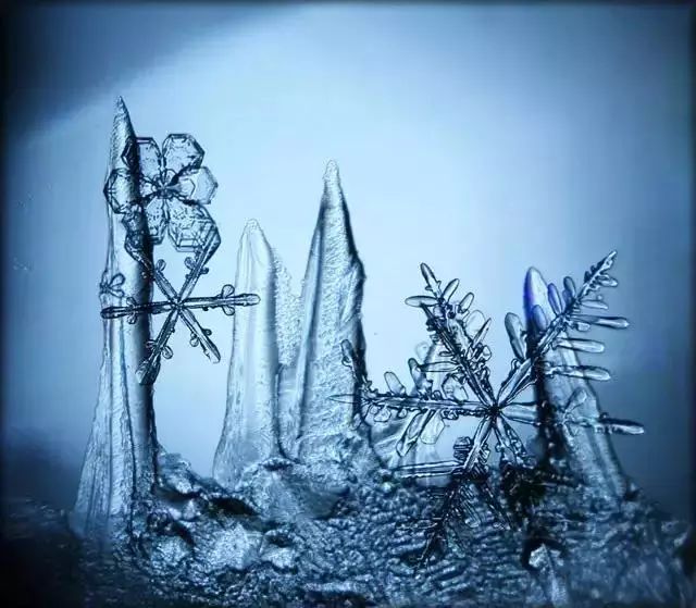 15293576896269524967e4d