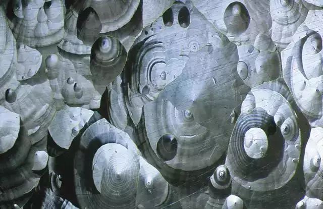 1529357690304e5ddddf22a