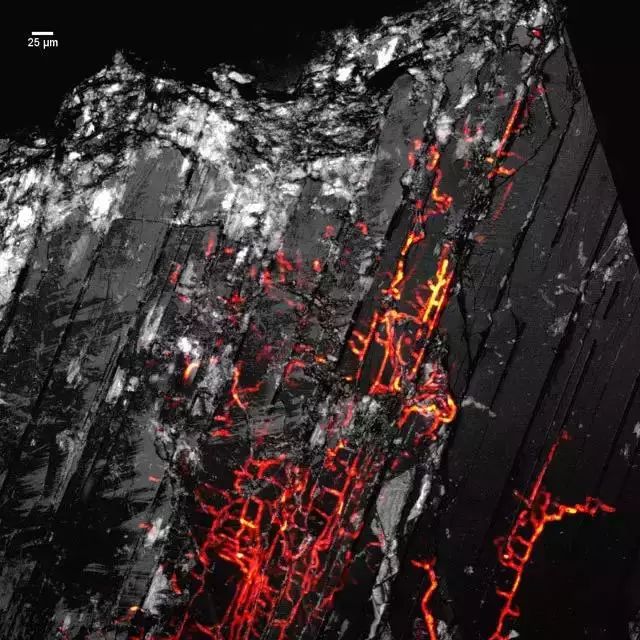 1529357691513ae69cfe7b8