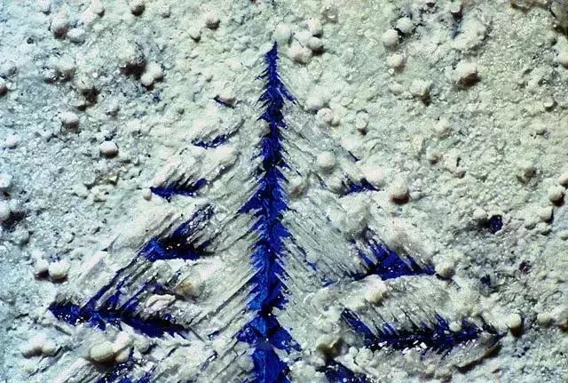 15293576917618baf0ec013