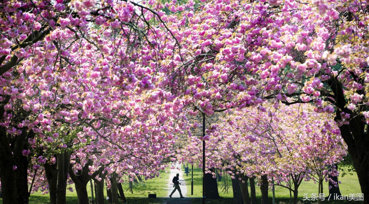 1528685040586b7a3cc7ff9