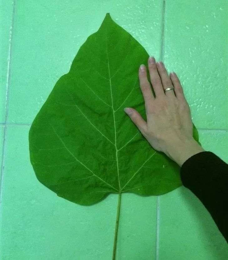 1539598188552f69be04f68