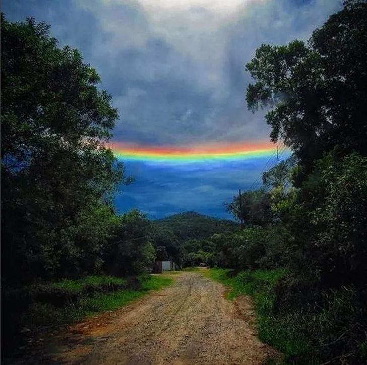 15395981885373a49387c2b