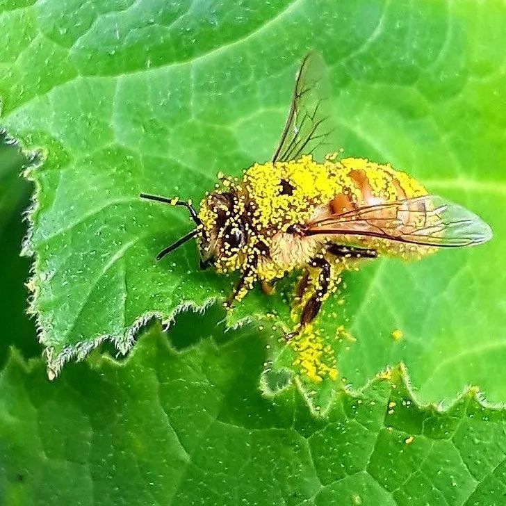 15395981887867412e83be8