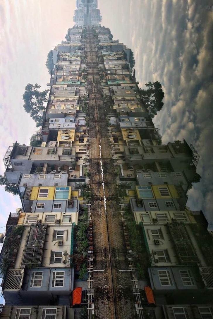 1534938563680afc4fea301