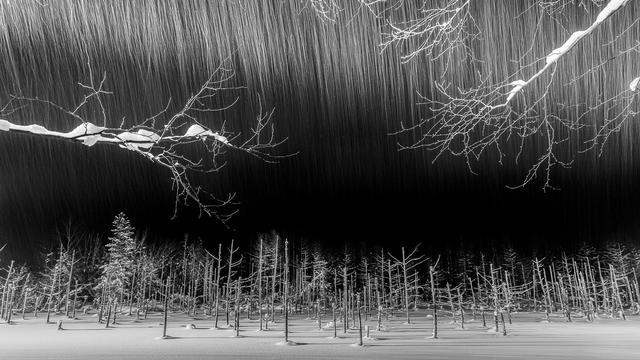 1536637413959c78f4e334d