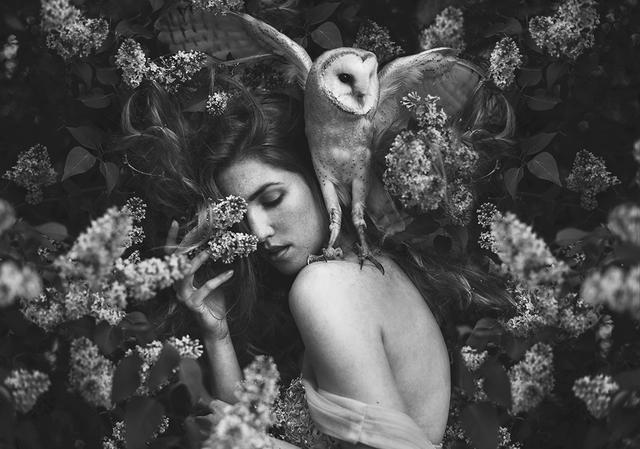 153663741386814e8c051fe