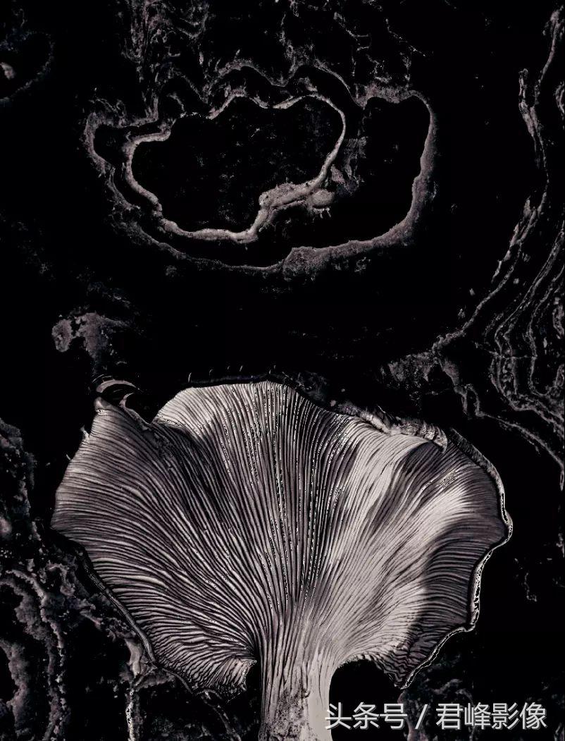 15365749935930c0523fa13