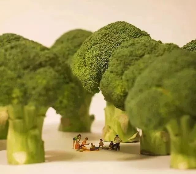 1532747971552acdf31ede7