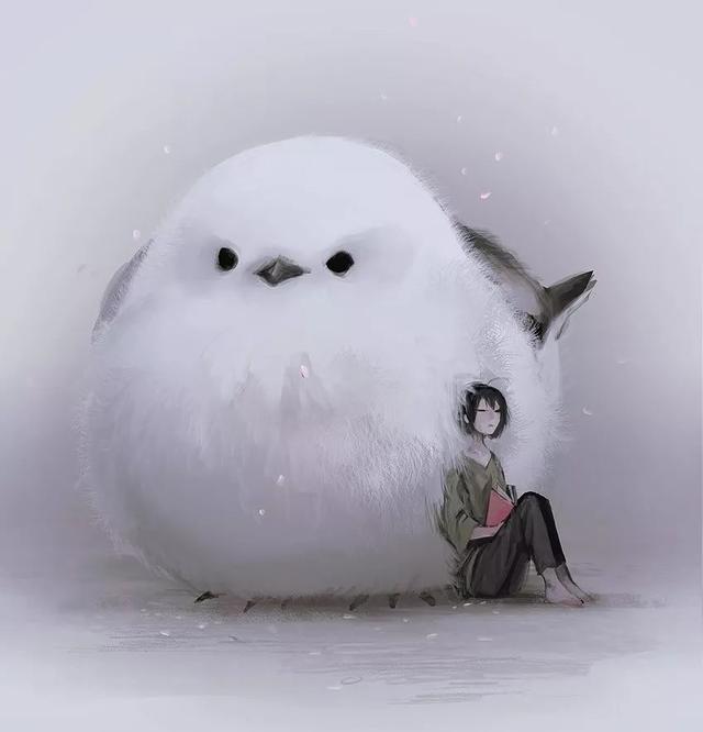 1532747971898307096adca