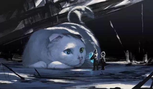 1532747971937d9ec49777f