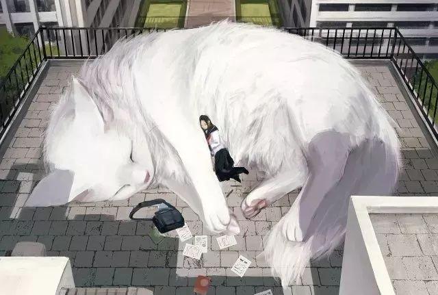 1532747972404060533c16d