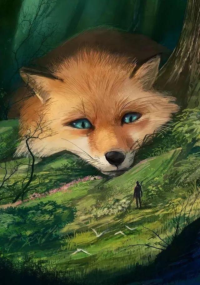 1532747973354663e628482