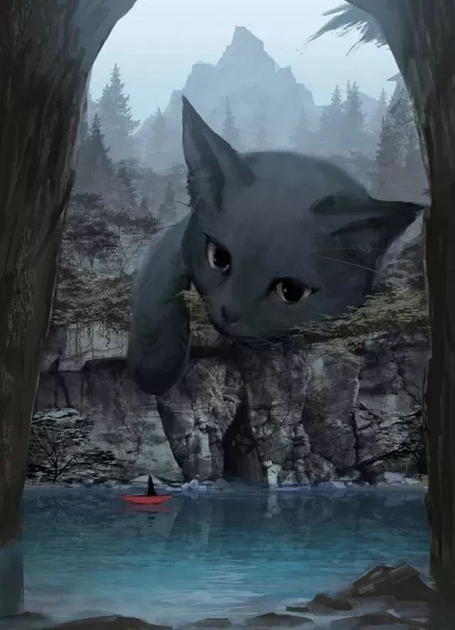 15327479733906e675fa0ed