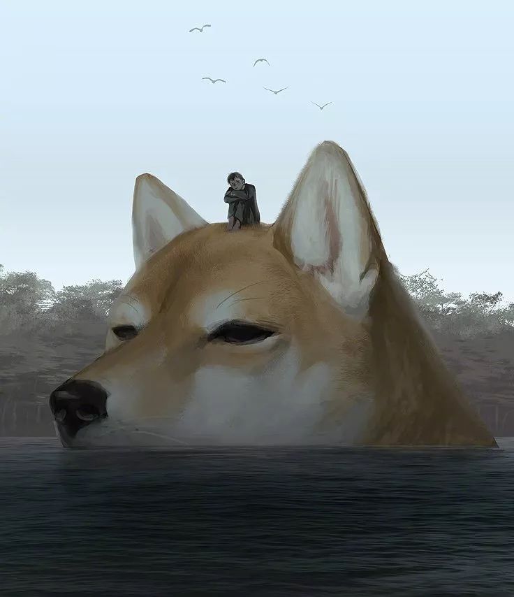 153274797425337d6172ad9