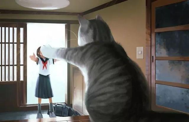 153274797441271e205d30d