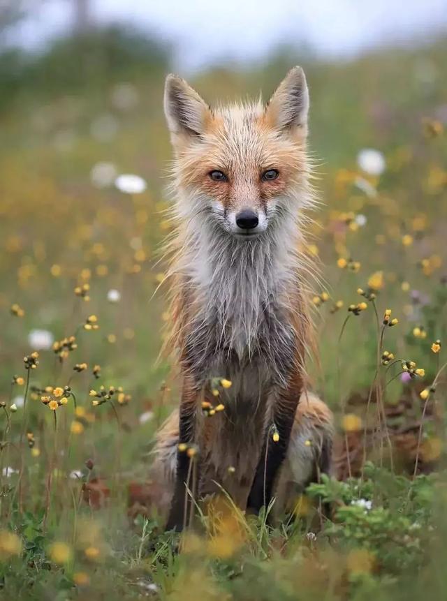 153081349965277540aef65