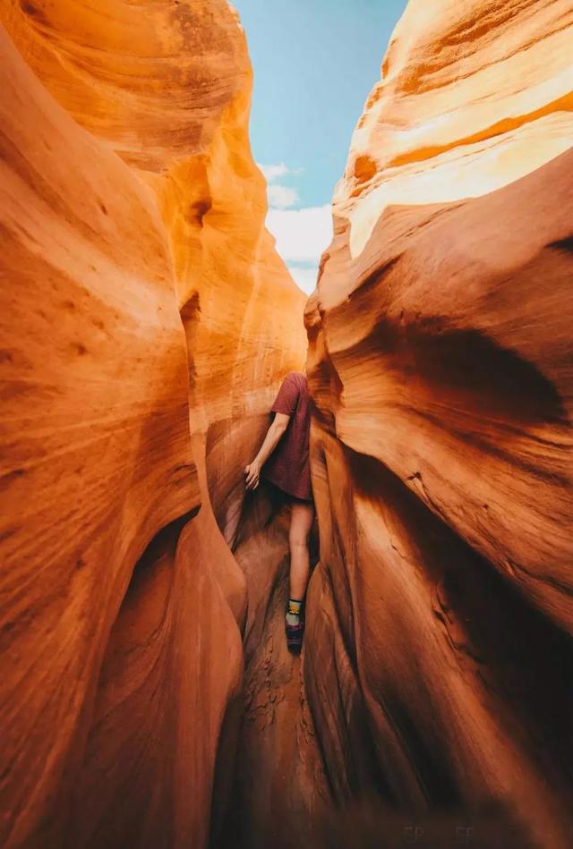 1530813503906a892009914