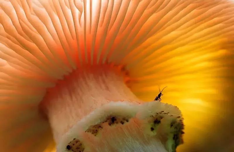 1530813508110db0e81c05b