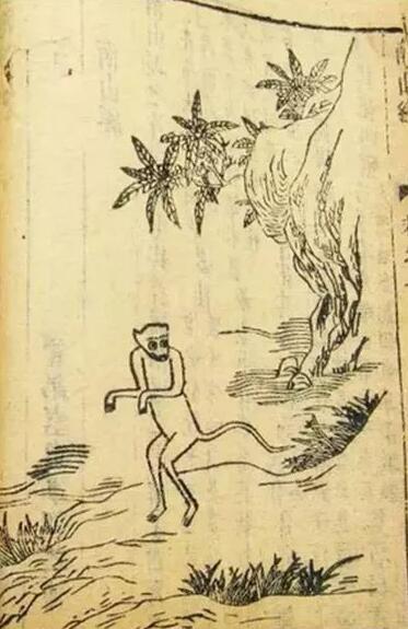 1534475846307d8d1ce7b2c