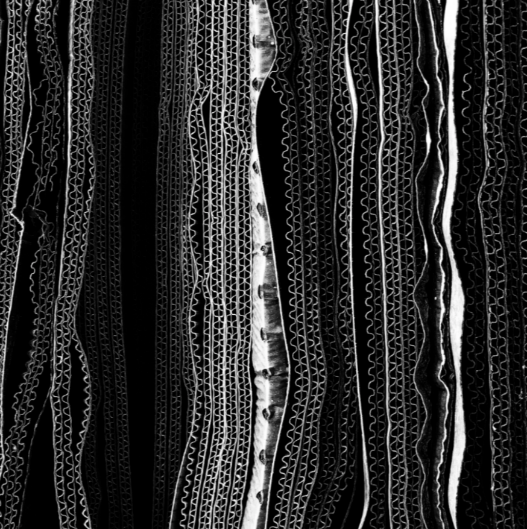 1532015611374f9b55656fc