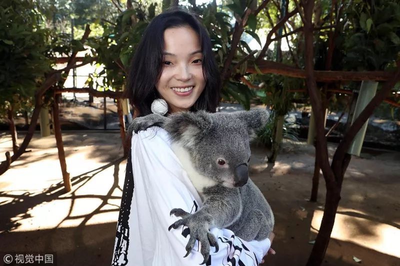 1525512634816142e369f40