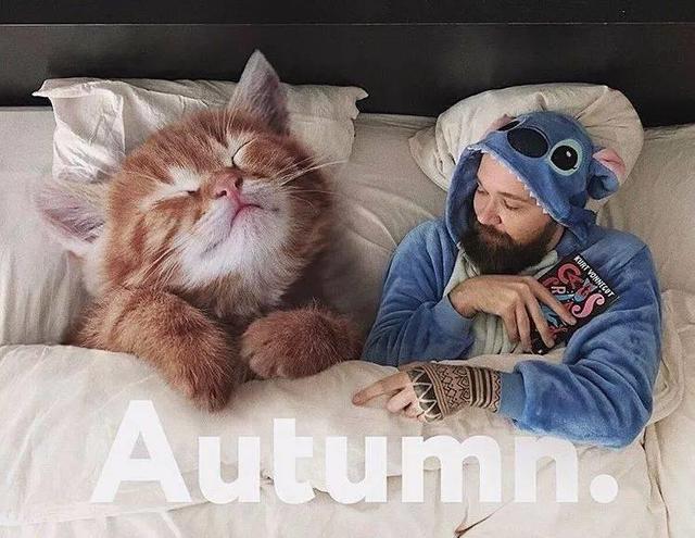 当他养了一只3米高的猫，治愈了整个世界