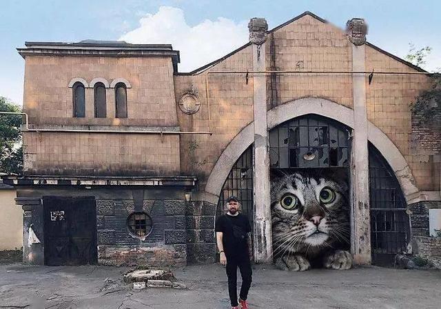 当他养了一只3米高的猫，治愈了整个世界