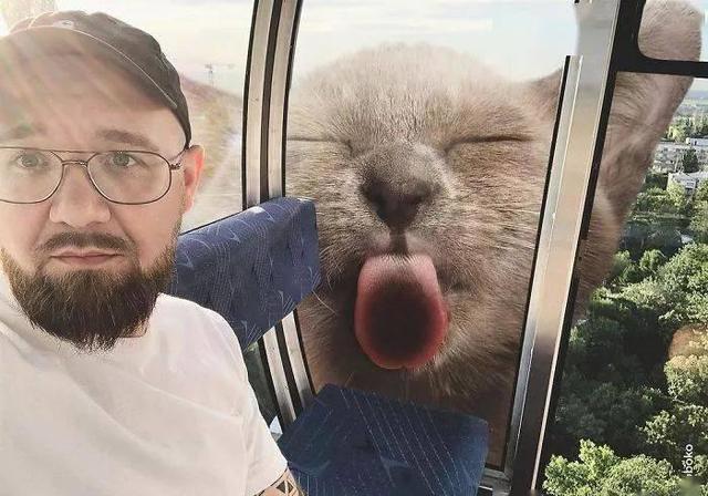 当他养了一只3米高的猫，治愈了整个世界