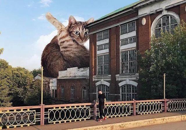 当他养了一只3米高的猫，治愈了整个世界