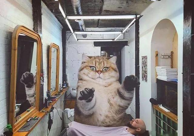 当他养了一只3米高的猫，治愈了整个世界