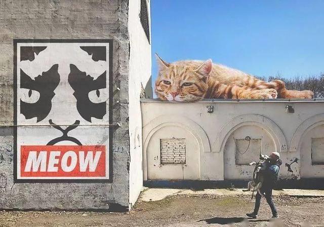 当他养了一只3米高的猫，治愈了整个世界