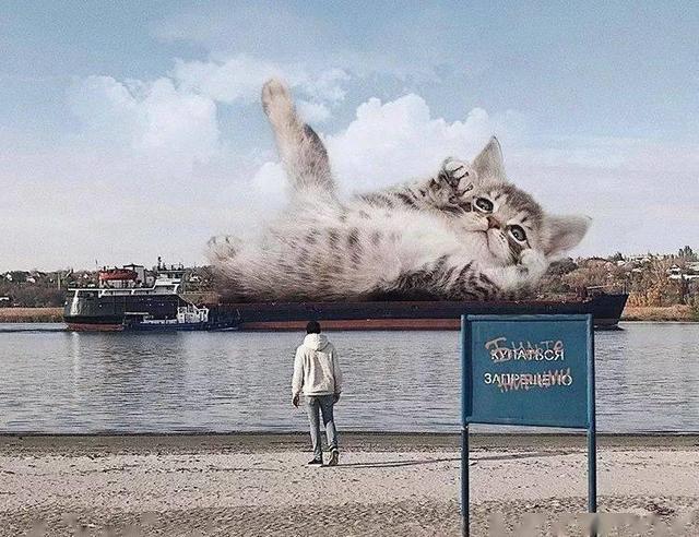 当他养了一只3米高的猫，治愈了整个世界