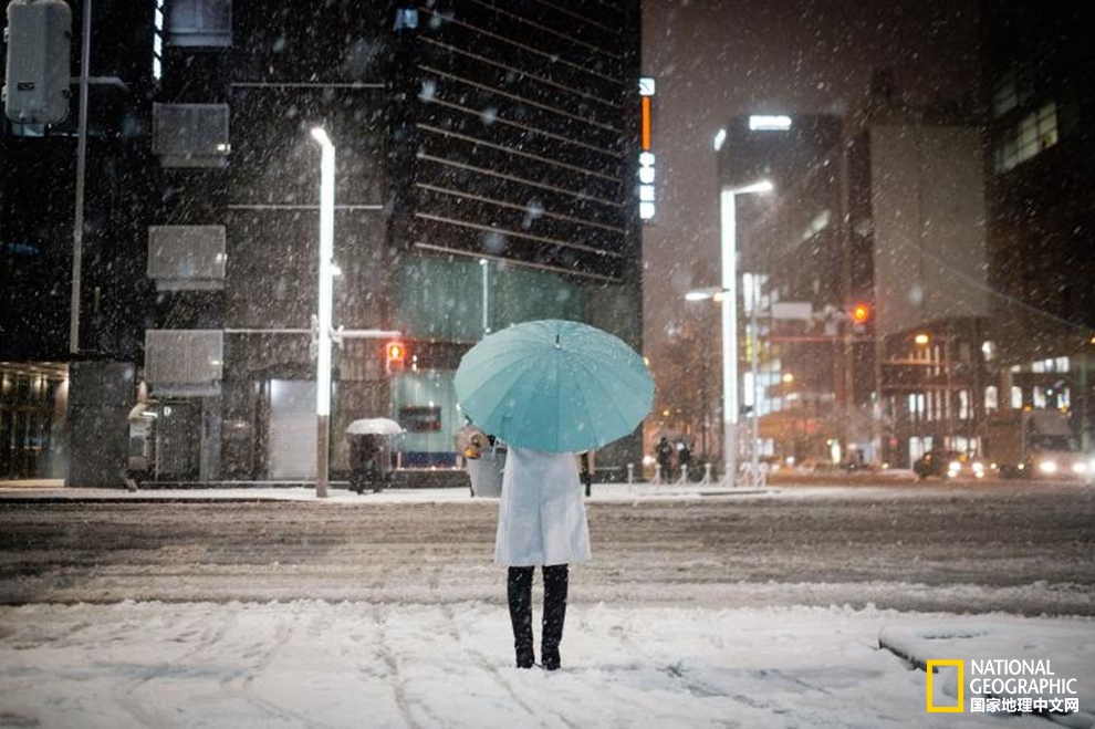 1528881675325732bbb2b87