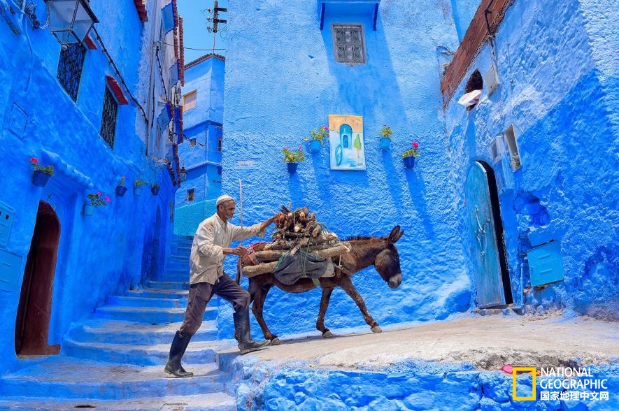 15288816781609ab63197e9