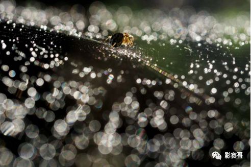 15310508020082c36aac89a