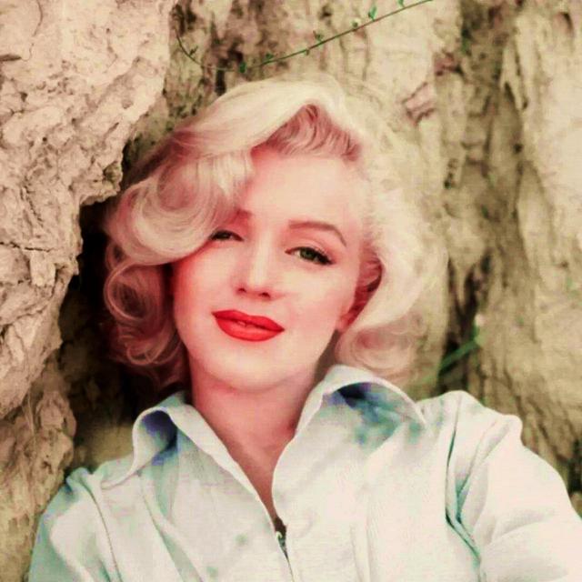 世界级“顶级美人”，在她们面前，审美真正达到了高度统一