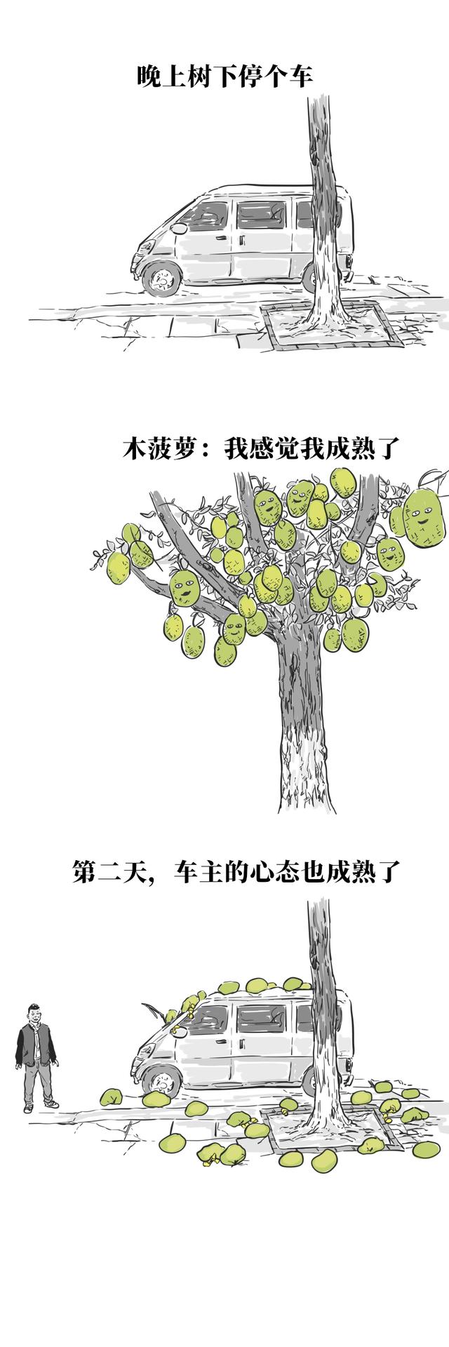 广西 10 大神秘现象？