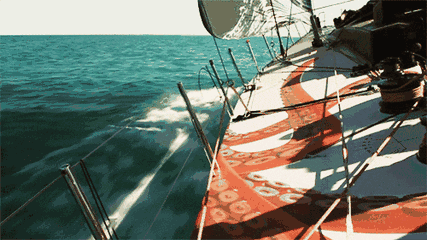 海洋动物也需要喝水，但海水很咸不能喝，那它们怎么喝到水？