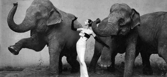 1张照片卖780万，她比赫本更有气质，却被家暴离婚，63岁孤独离世