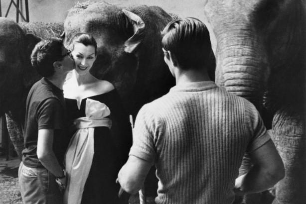 1张照片卖780万，她比赫本更有气质，却被家暴离婚，63岁孤独离世