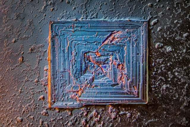 31张显微镜下拍摄的图片，看完感觉世界观被完全颠覆了