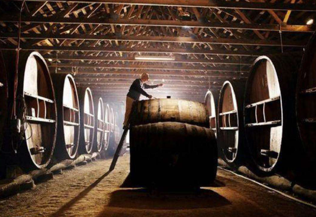 XO到底是种什么酒？如今很多有钱人为何都在喝？一次性让你搞明白