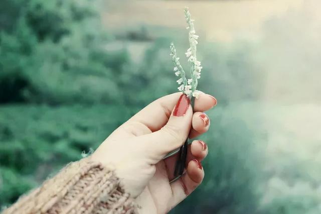 《瓦尔登湖》：执着于物质的人生，永远找不到真正的自由