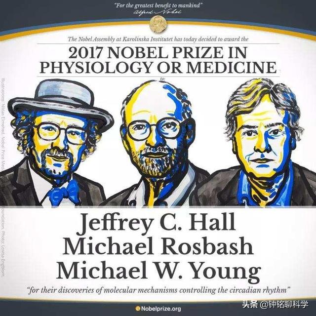 引力波究竟是什么波？花大价钱研究它，究竟有啥用？