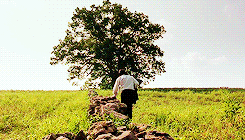 豆瓣第一，IMDB第一，但《肖申克的救赎》主角是谁？很多人不知道