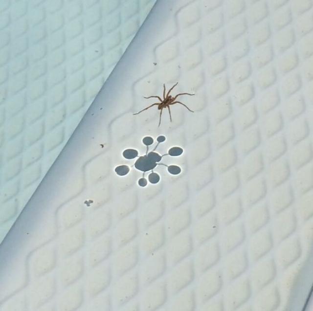 48个令人称奇的真实照片，有趣巧妙的影子，存在于普通日常生活中