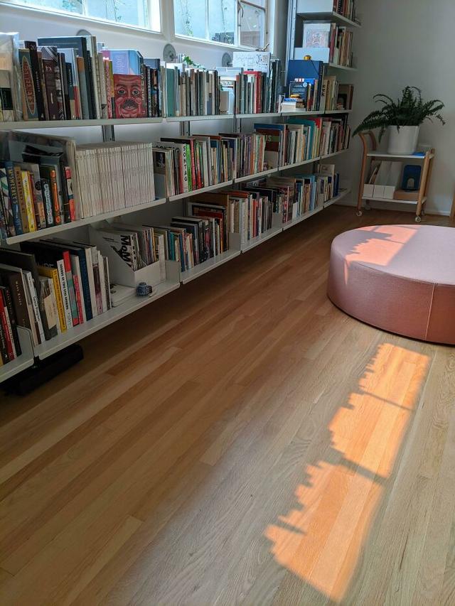 48个令人称奇的真实照片，有趣巧妙的影子，存在于普通日常生活中